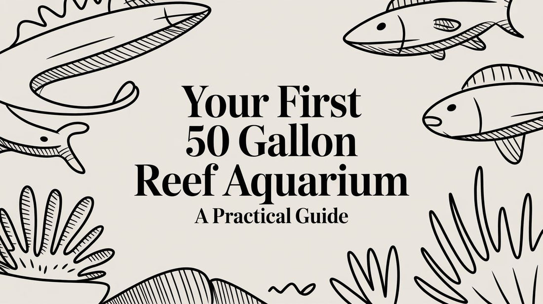 Your First 50 Gallon Reef Aquarium A Practical Guide