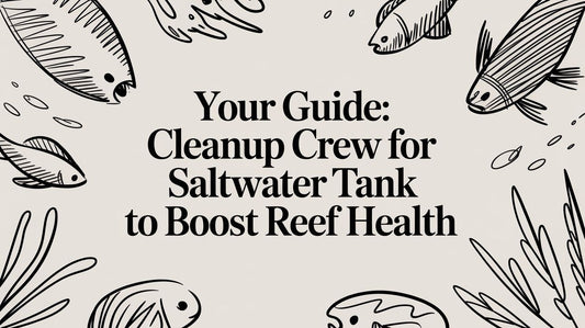 Your Guide: cleanup crew for saltwater tank to boost reef health