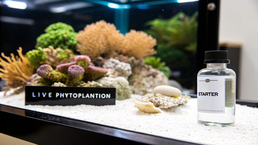 How to Culture Phytoplankton for Your Reef Tank