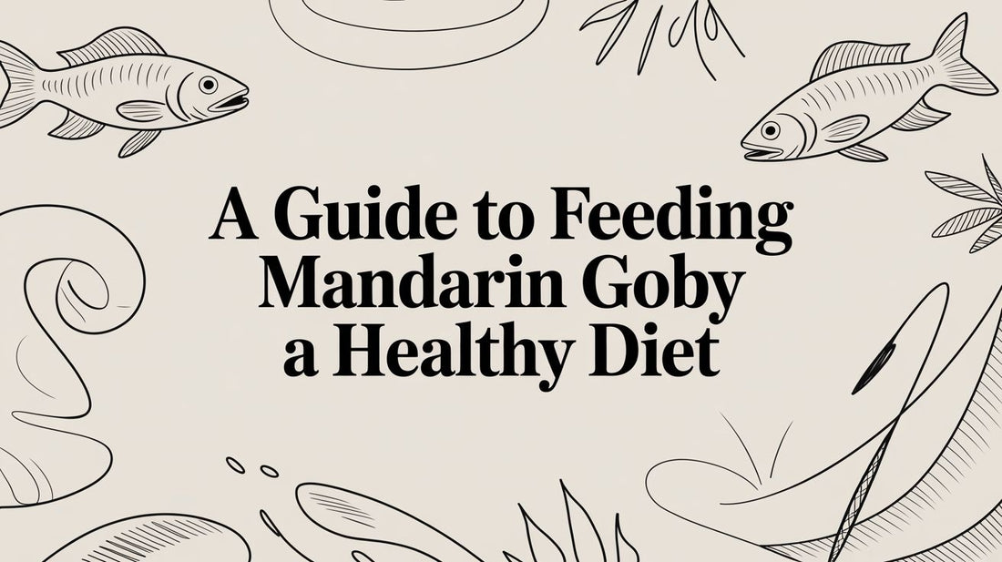 A Guide to Feeding Mandarin Goby a Healthy Diet