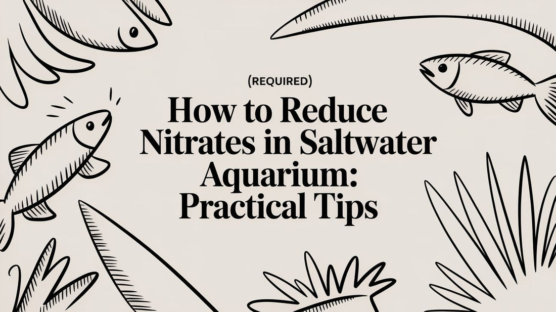 how to reduce nitrates in saltwater aquarium: practical tips