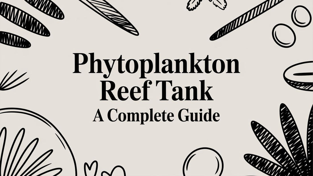 Phytoplankton Reef Tank A Complete Guide