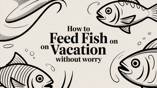 How to Feed Fish on Vacation Without Worry