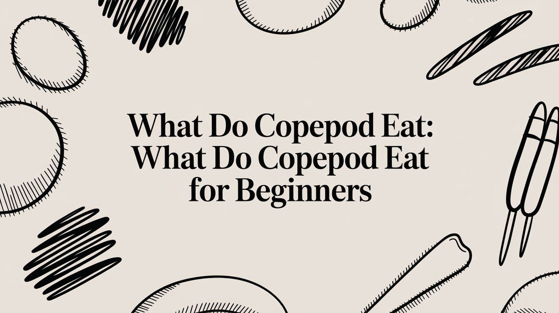 What Do Copepod Eat: what do copepod eat for beginners