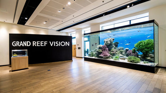 Large Reef Aquariums: The Essential Guide to Planning and Setup