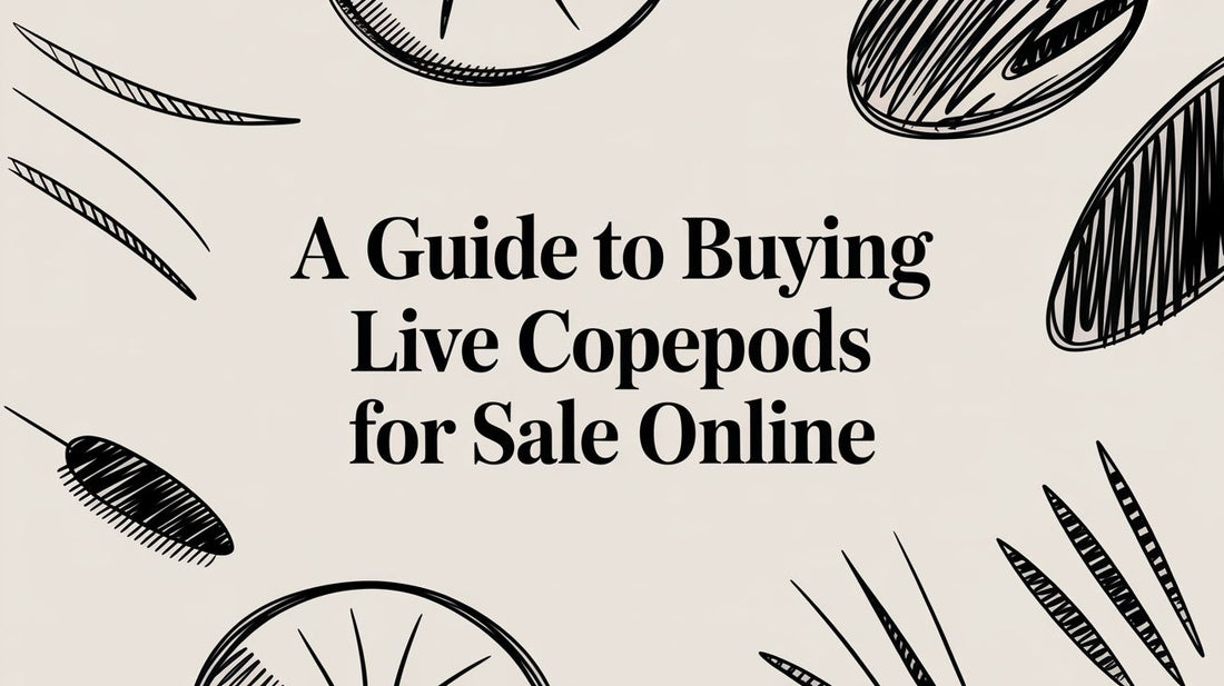 A Guide to Buying Live Copepods For Sale Online