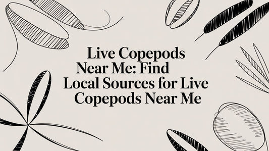 Live Copepods Near Me: Find Local Sources for live copepods near me