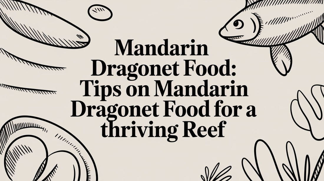 Mandarin Dragonet Food: Tips on mandarin dragonet food for a thriving reef