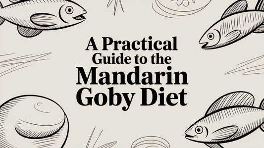 A Practical Guide to the Mandarin Goby Diet