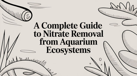A Complete Guide to Nitrate Removal from Aquarium Ecosystems
