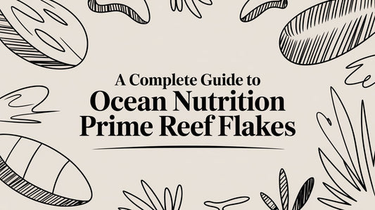 A Complete Guide to Ocean Nutrition Prime Reef Flakes