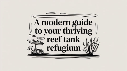 A Modern Guide to Your Thriving Reef Tank Refugium