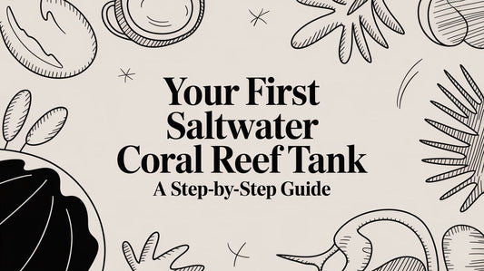 Your First Saltwater Coral Reef Tank A Step-by-Step Guide