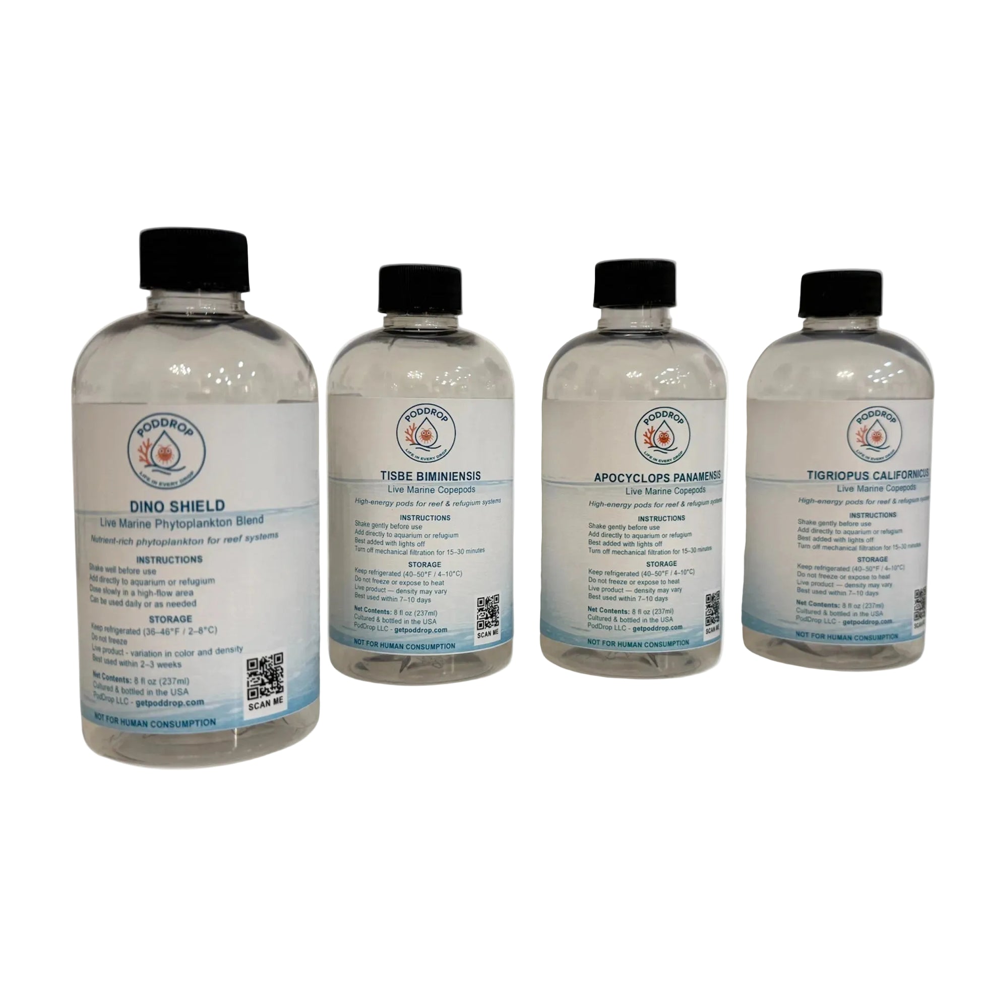 Dino Recovery Bundle 8oz - live copepods and phytoplankton cultures for dinoflagellate management in reef aquariums