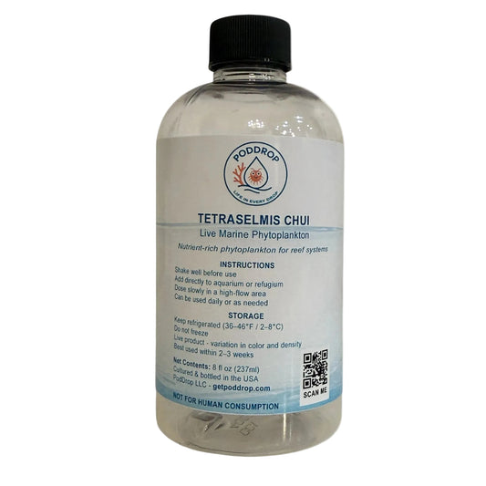 Tetraselmis sp. live marine phytoplankton 8oz bottle for reef aquariums