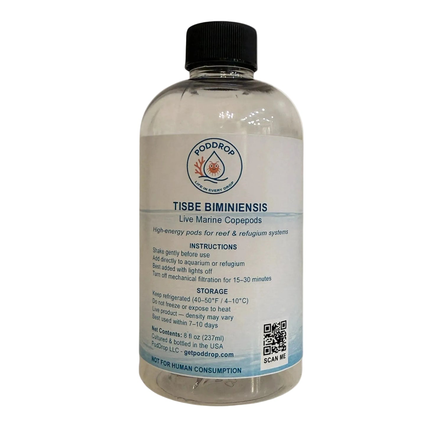 Tisbe biminiensis live marine copepods 8oz bottle with phytoplankton culture