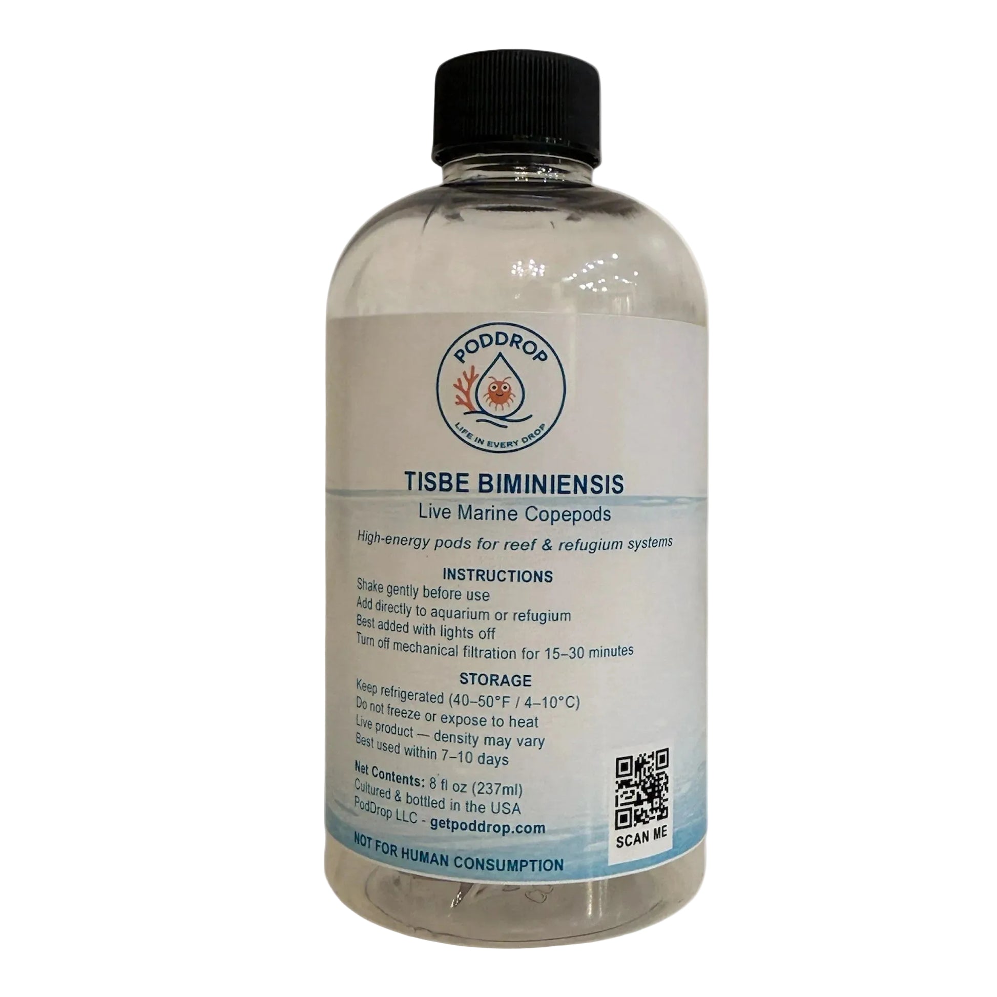 Tisbe biminiensis live marine copepods 8oz bottle with phytoplankton culture