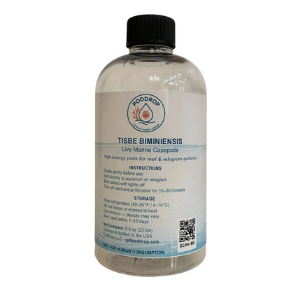 Tisbe biminiensis live marine copepods 8oz bottle with phytoplankton culture